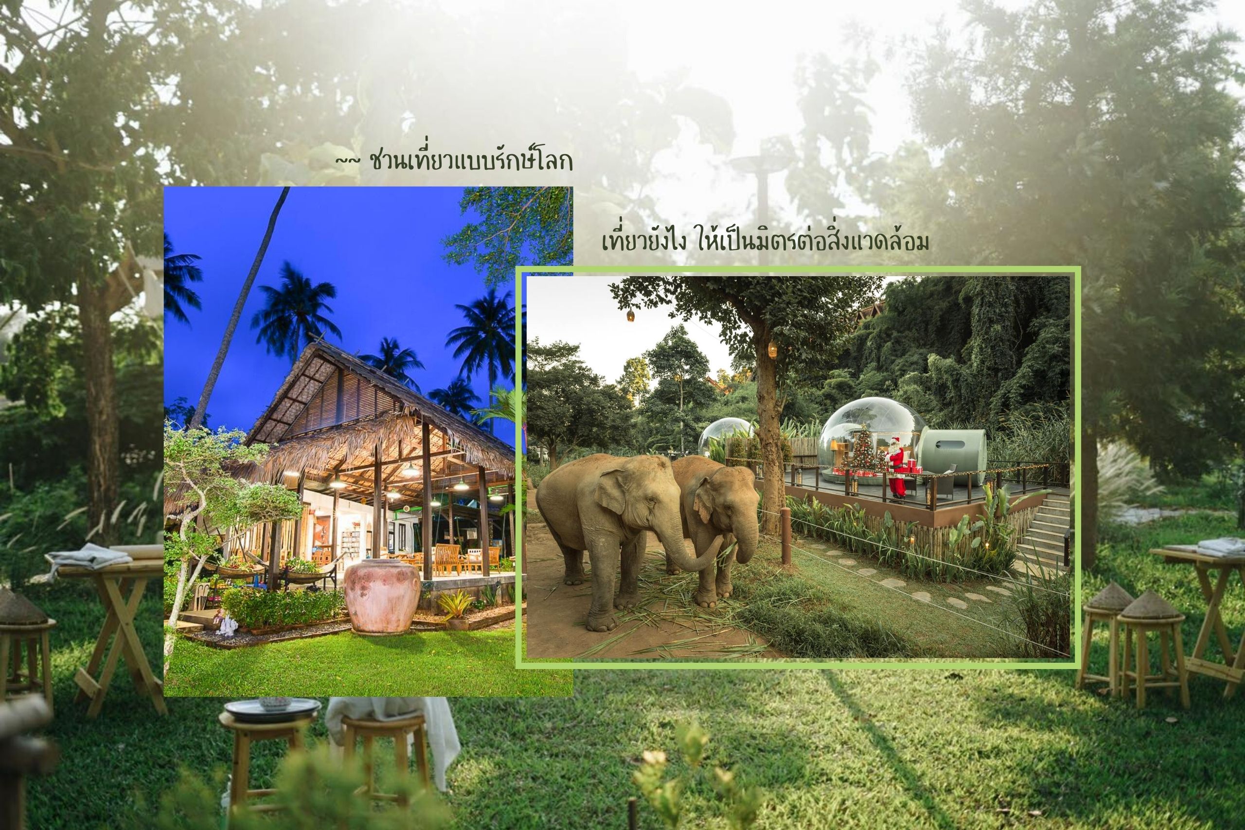 15 ที่พักสไตล์ Eco ทั่วไทย ให้ไปเที่ยวพักผ่อนกันแบบรักษ์โลก