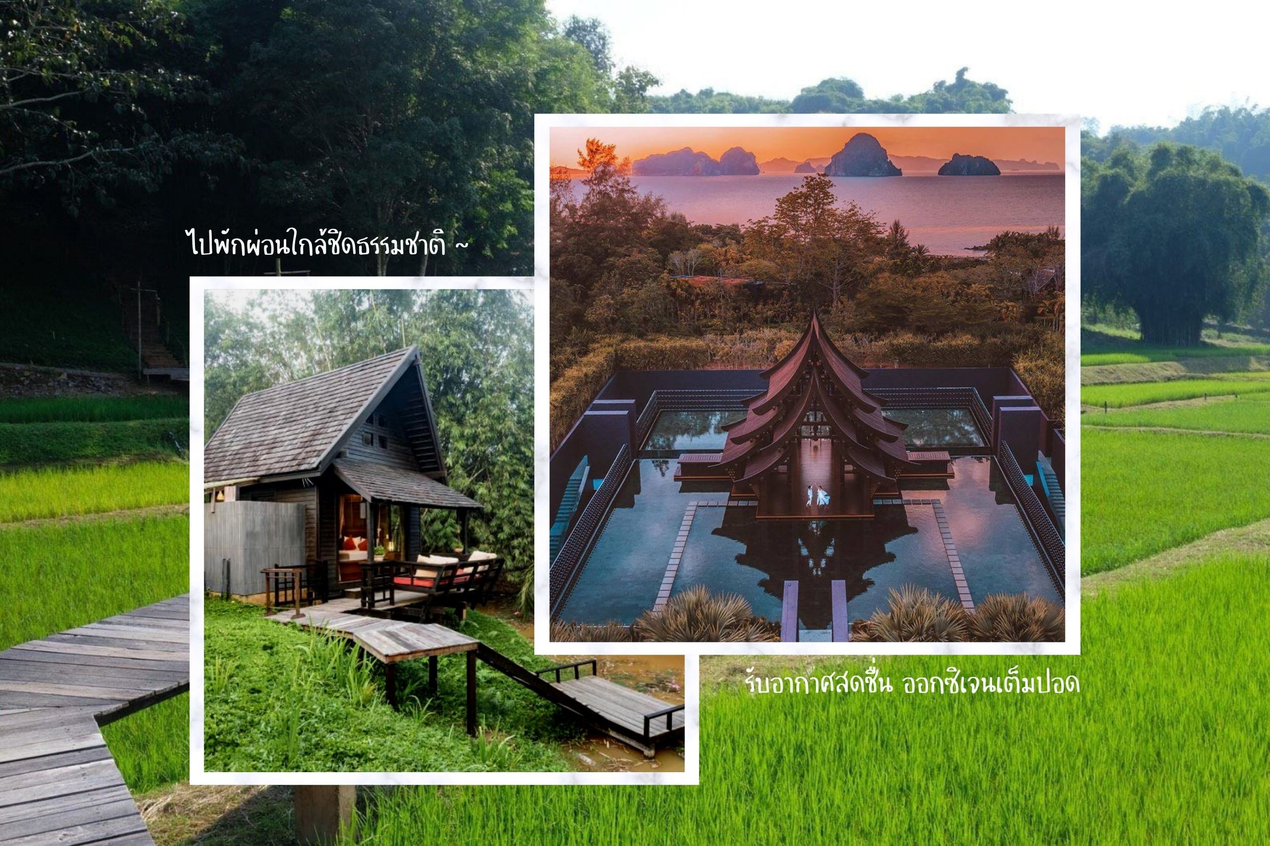 20 ที่พักสไตล์ธรรมชาติ ไปสูดอากาศบริสุทธิ์ หนีความวุ่นวายในเมือง