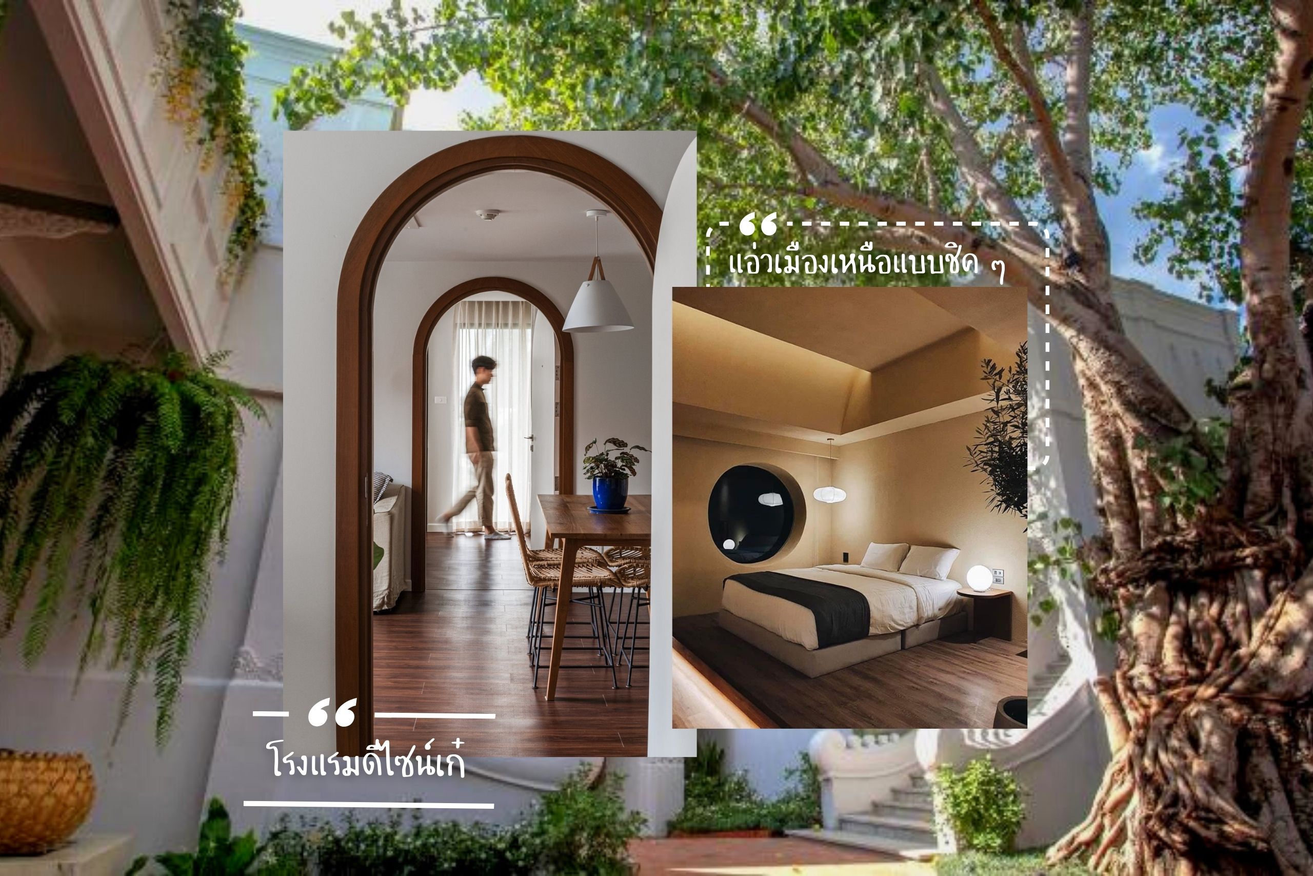 20 ที่พักเชียงใหม่ ดีไซน์สุดปัง ชวนไปแอ่วเมืองเหนือแบบมีสไตล์