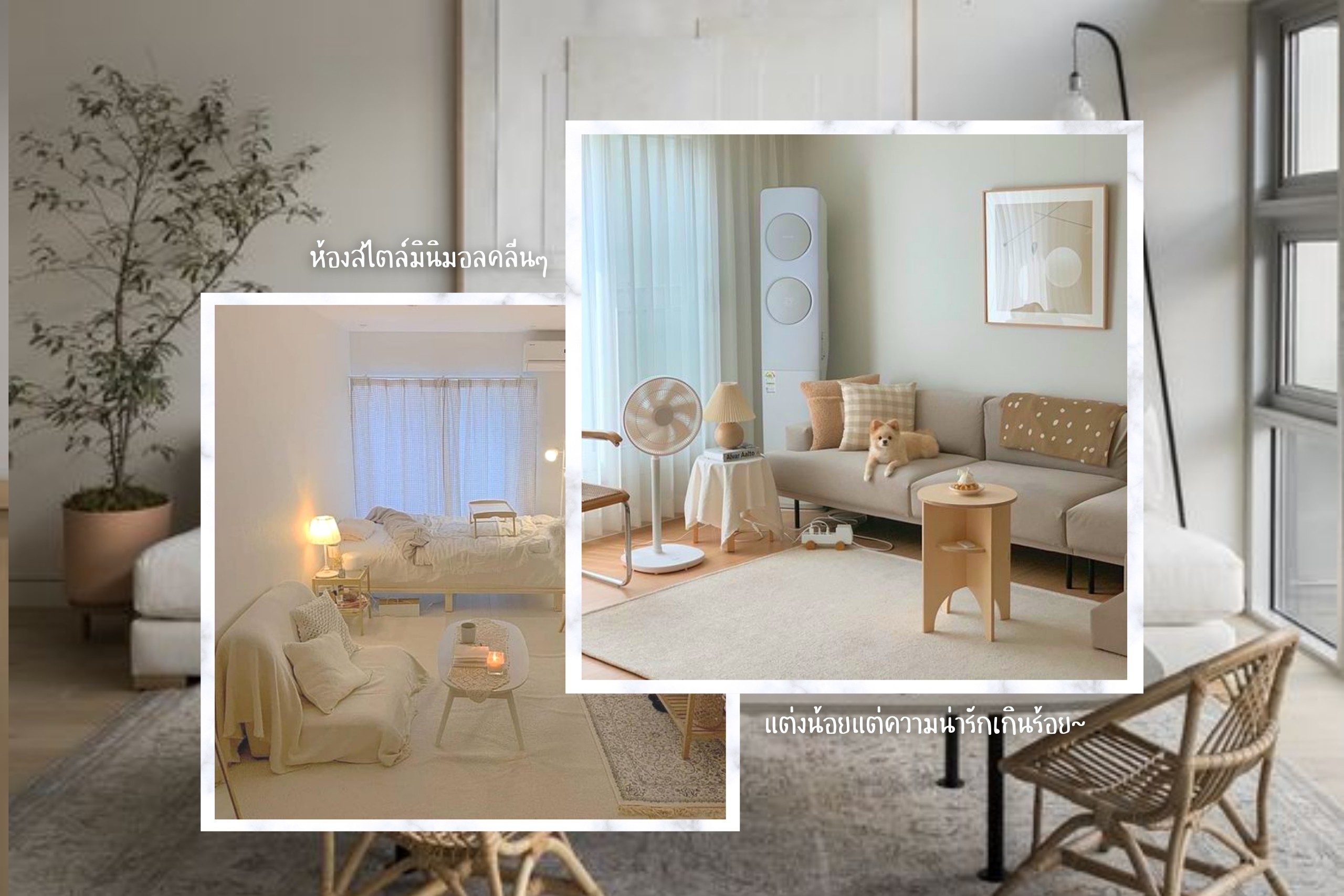 เปิดพิกัด 15 ร้าน ของแต่งบ้านสไตล์มินิมอล
