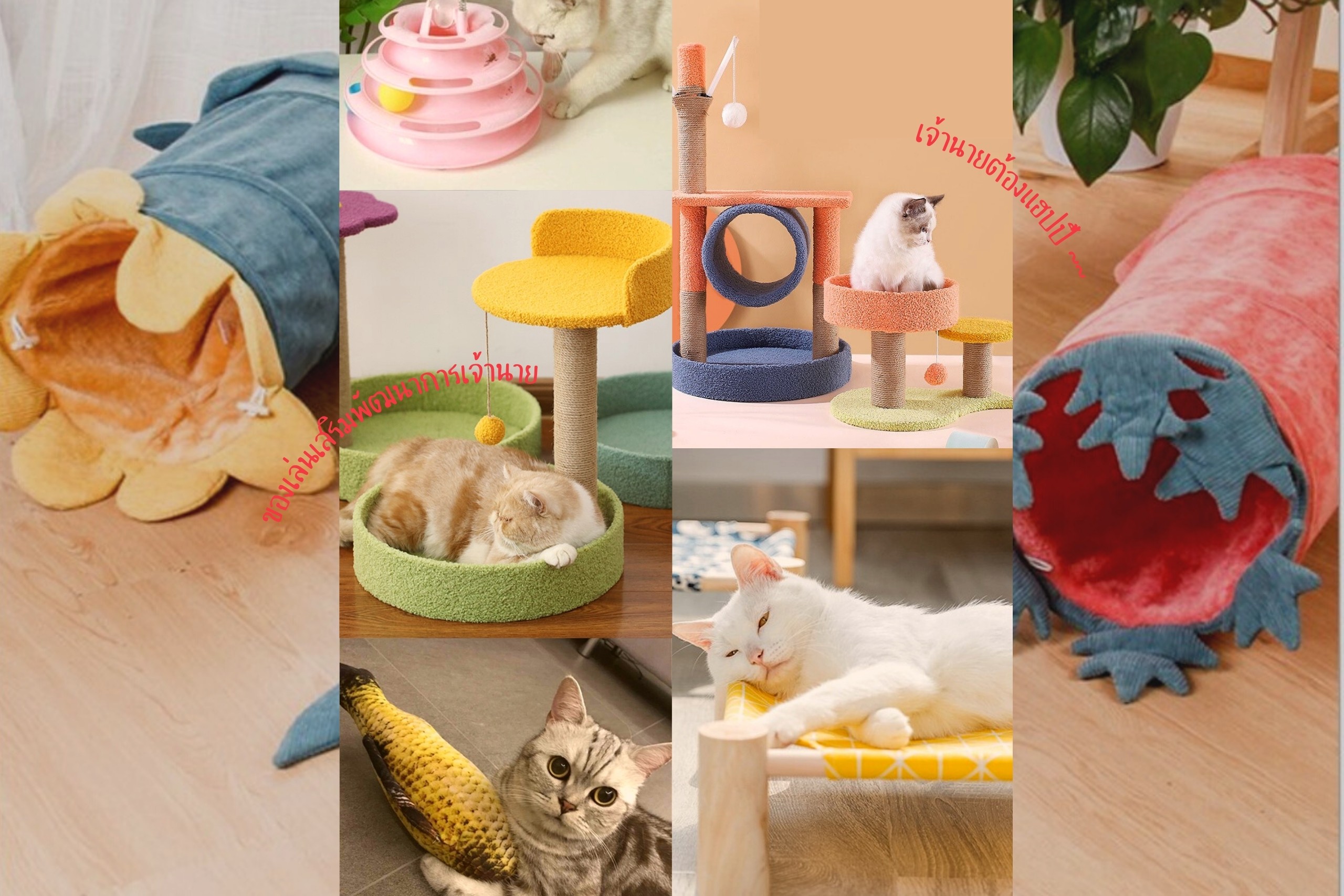20 ของเล่นแมวสุดฮิตที่คนรักแมวต้องมี