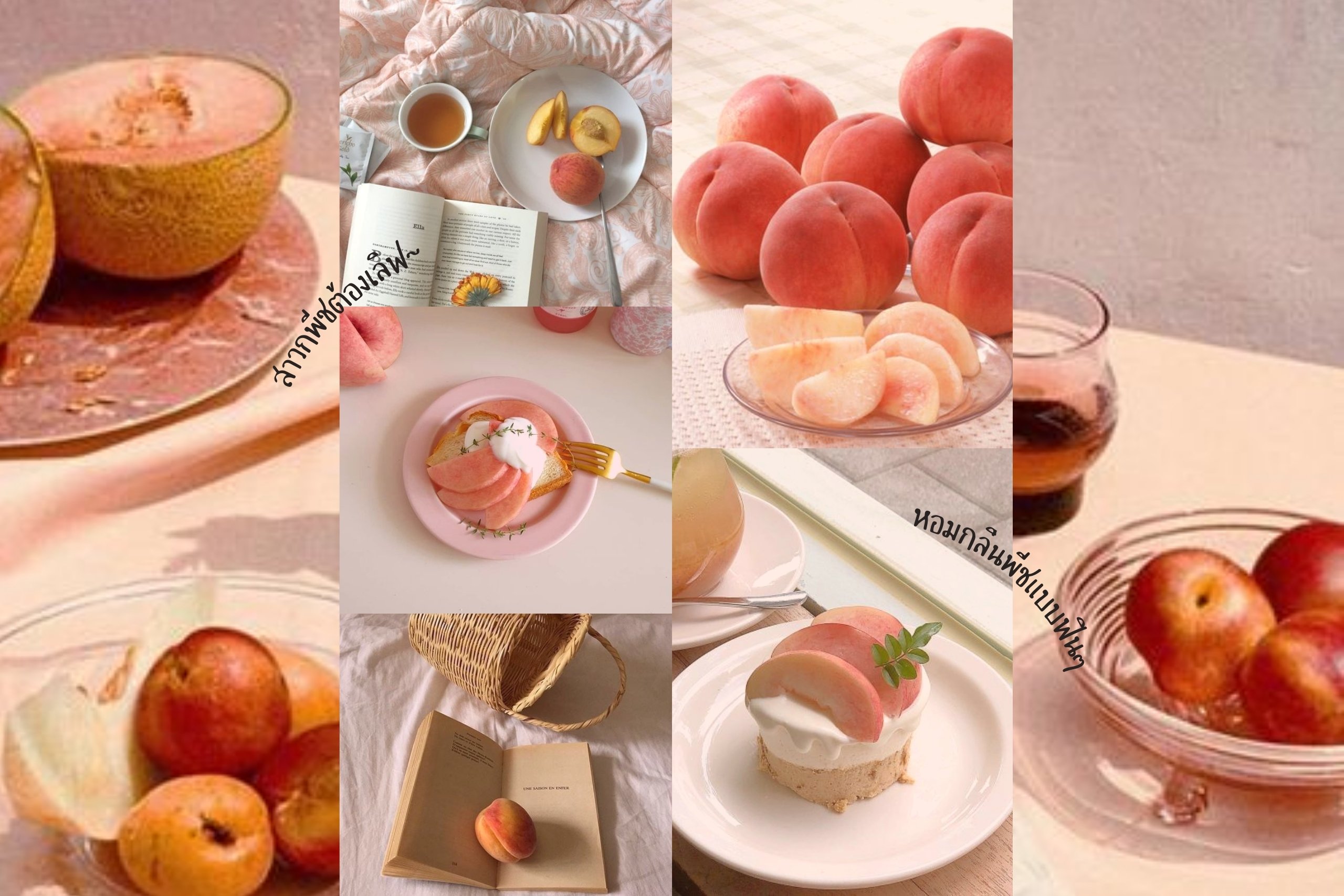 รีวิว 15 ไอเท็มเด็ดหอมกลิ่นพีชน่าใช้ เอาใจพีชเลิฟเวอร์