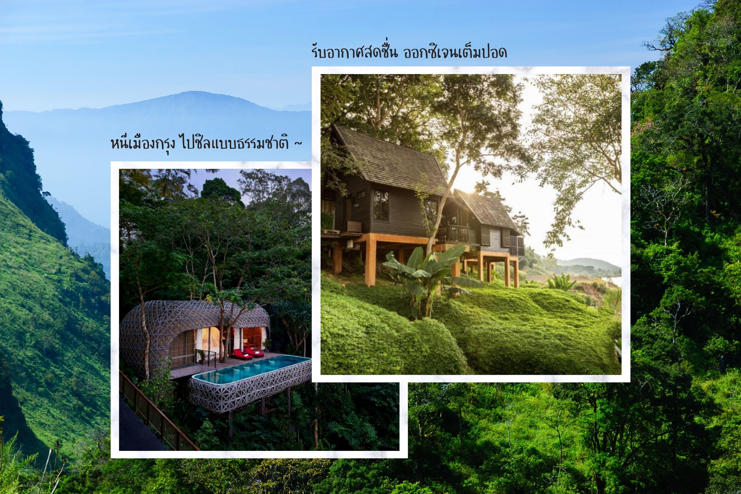 เก็บกระเป๋า! 12 ที่พักสไตล์บ้านต้นไม้ใกล้ชิดธรรมชาติทั่วไทย