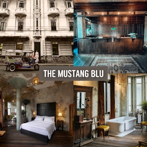 The Mustang Blu