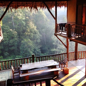 Tree House Hideaway (บ้านต้นไม้แม่แมะ)