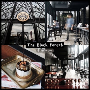 The Black Forest
