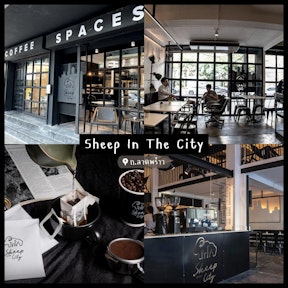Sheep In the City