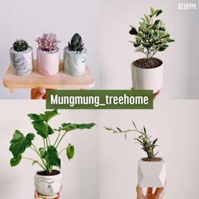 Mungmung_treehome