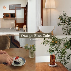 Orange Bliss Cafe