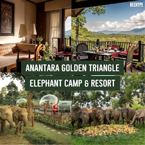 Anantara Golden Triangle Elephant Camp & Resort