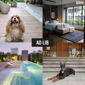 Ad Lib