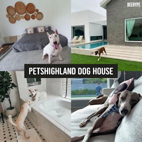 Petshighland Dog House
