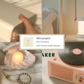 Mini.Project