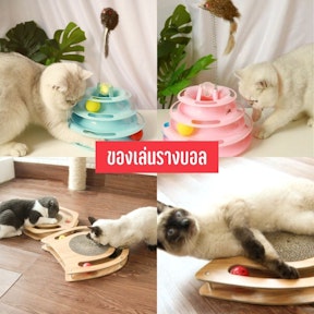ของเล่นรางบอล