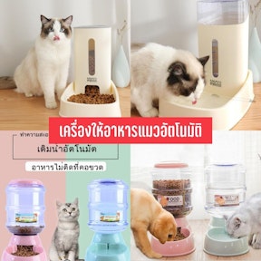 เครื่องให้อาหารแมวอัตโนมัติ