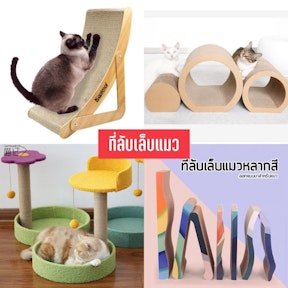 ที่ลับเล็บแมว