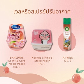 เจลปรับอากาศ, สเปรย์ปรับอากาศ